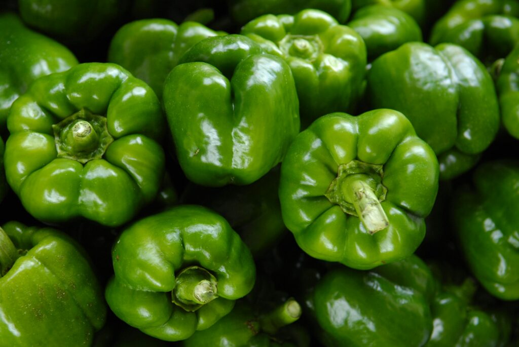 Close-up of fresh organic green bell peppers showcasing vibrant color and freshness.