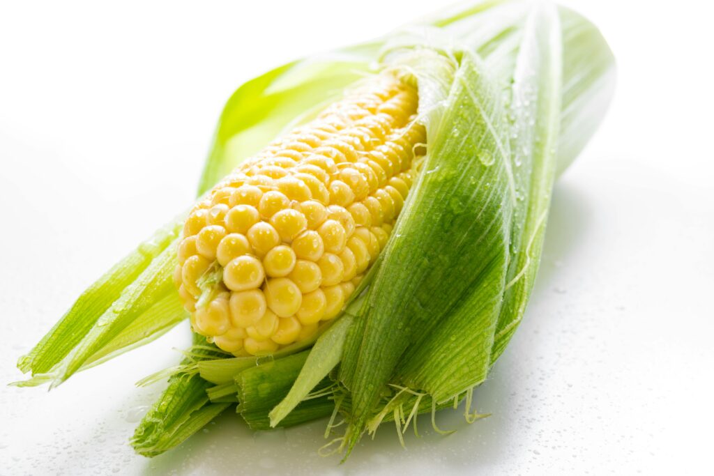 Detailed close-up of a fresh ear of corn with water droplets, showcasing vibrant yellow kernels and green husks.